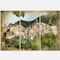 Designart - Old Italian Villages - Landscape Photography Canvas Art Print
